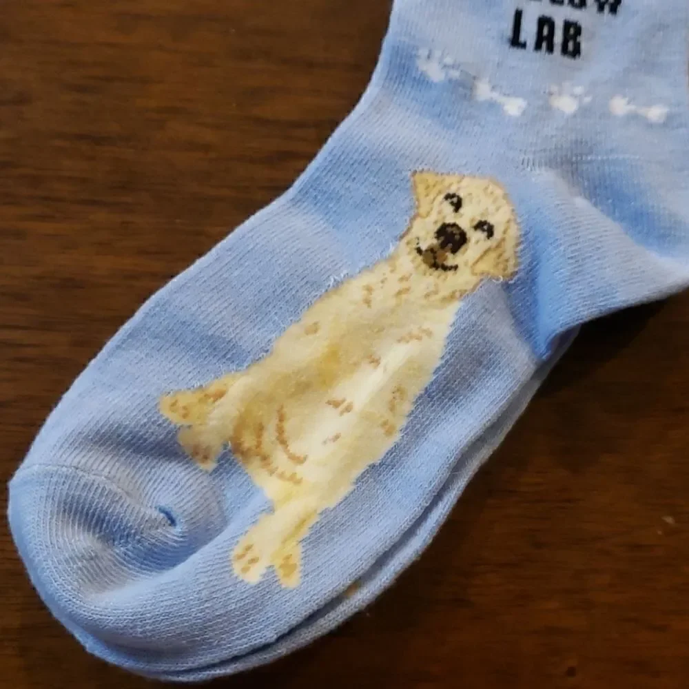 FOOZYS CANINE COLLECTION LIGHT BLUE SOCKS WITH YELLOW LABRADOR RETRIEVER